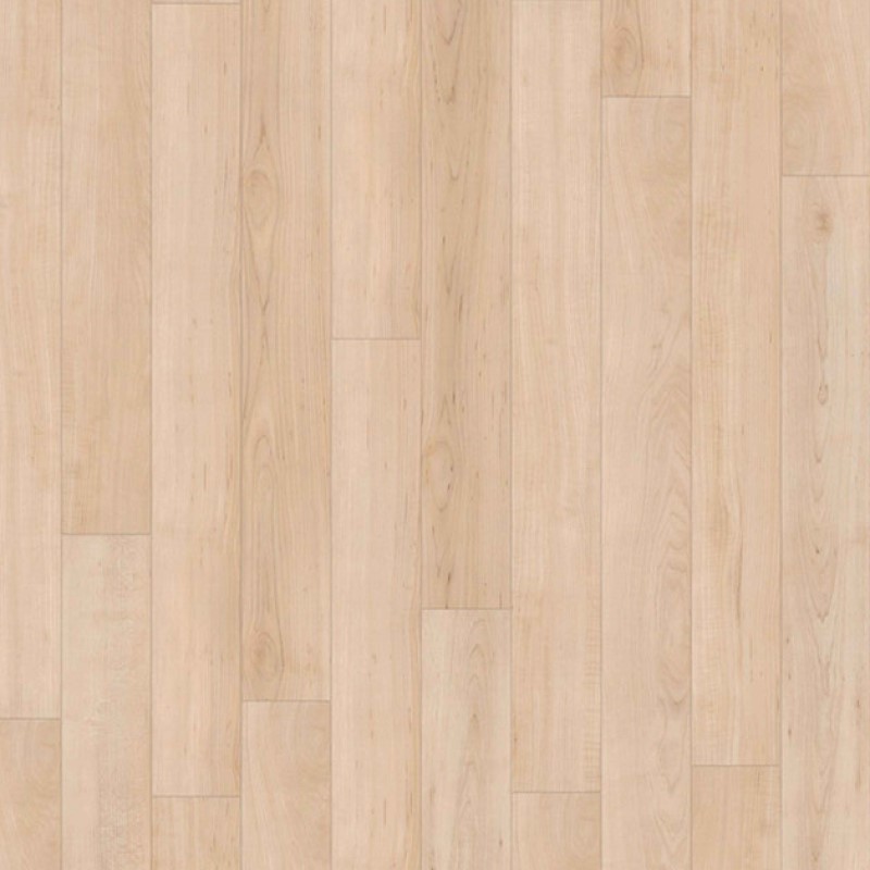 Individuālai aizsardzībai - Outlet  Pale maple SS5W2501WD