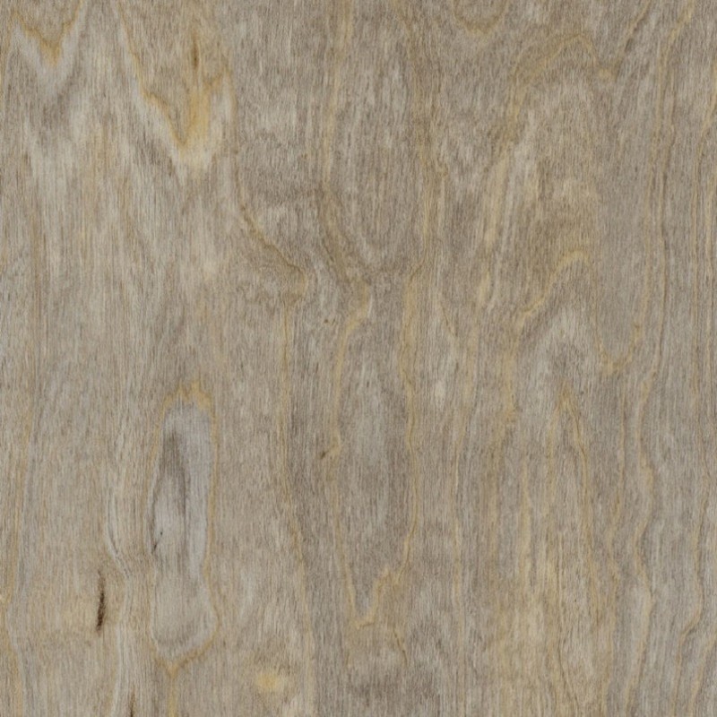 Grīdas - Spacia Bleached Elm SS5W2516WD