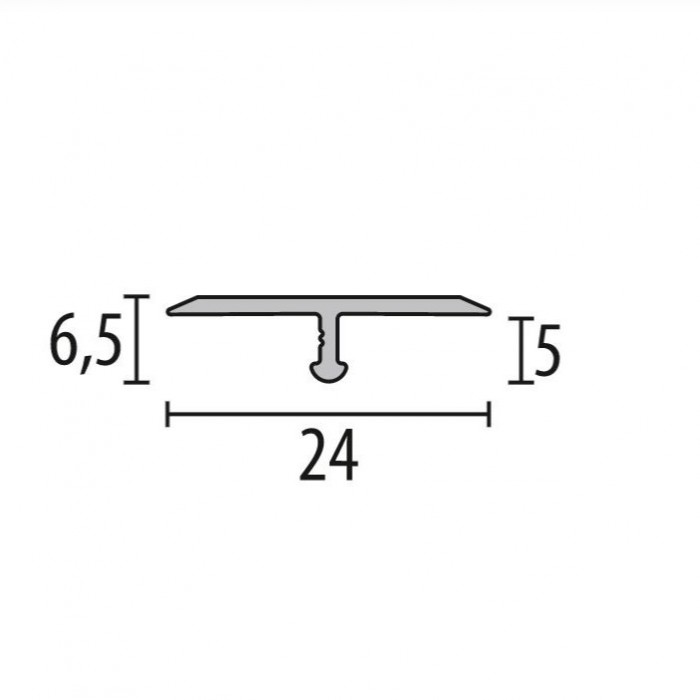 Citi - 295 SBS 2192950045 T-profile 2.7m Alu Anodized Silver 24x6.0mm