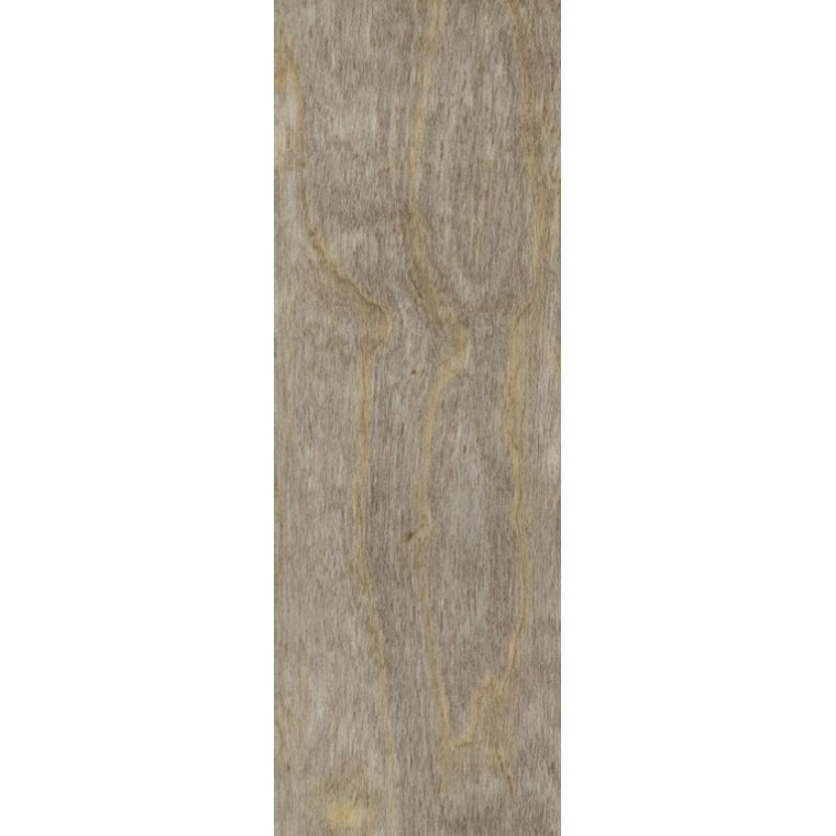 Citi - Spacia Bleached Elm SS5W2516WD