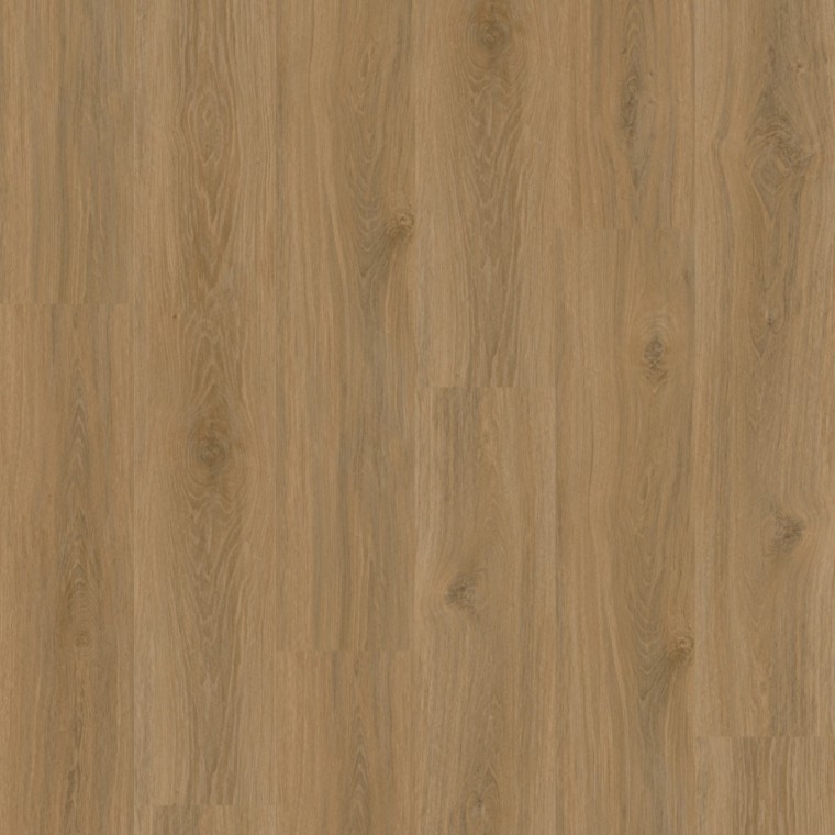 Viesnīcām - GD55 Macadamia GD5525PL58211