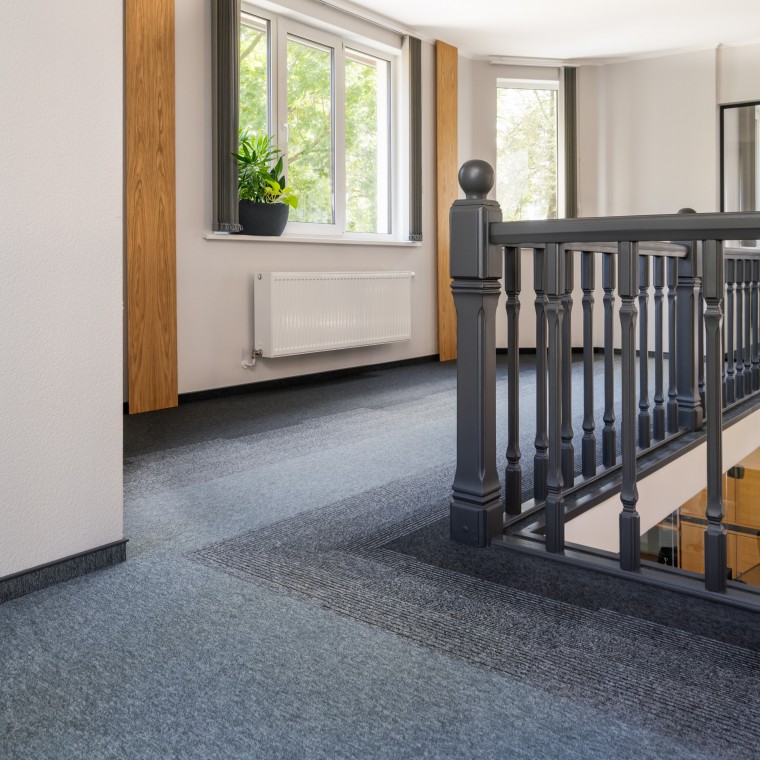 Vinils - Modernas svītru pārejas vēsturiskās telpās