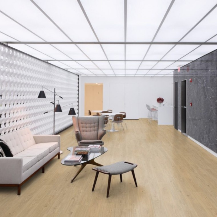 Vinils - LL55 Baron LL5550PL40421