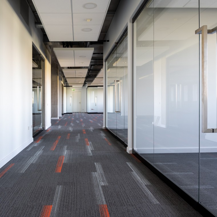 Projekti - Talejas iela