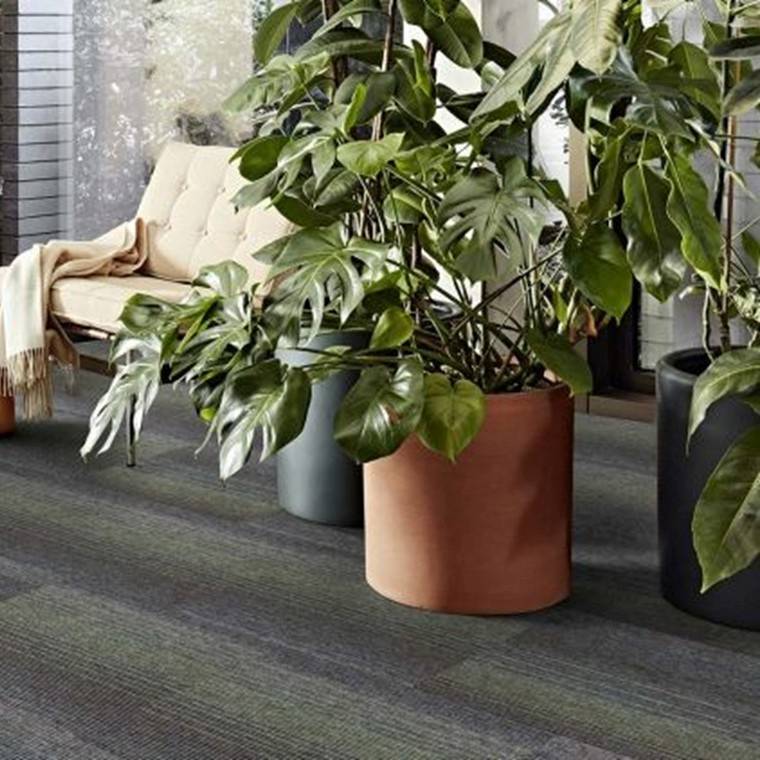 Paklāji Interface Outlet Employ Constant-Olive 4309005