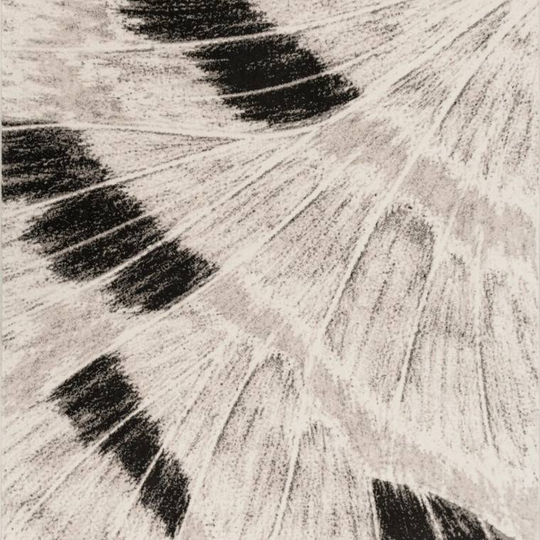 Paklāji Agnella Isfahan Mariposa White. 160x240