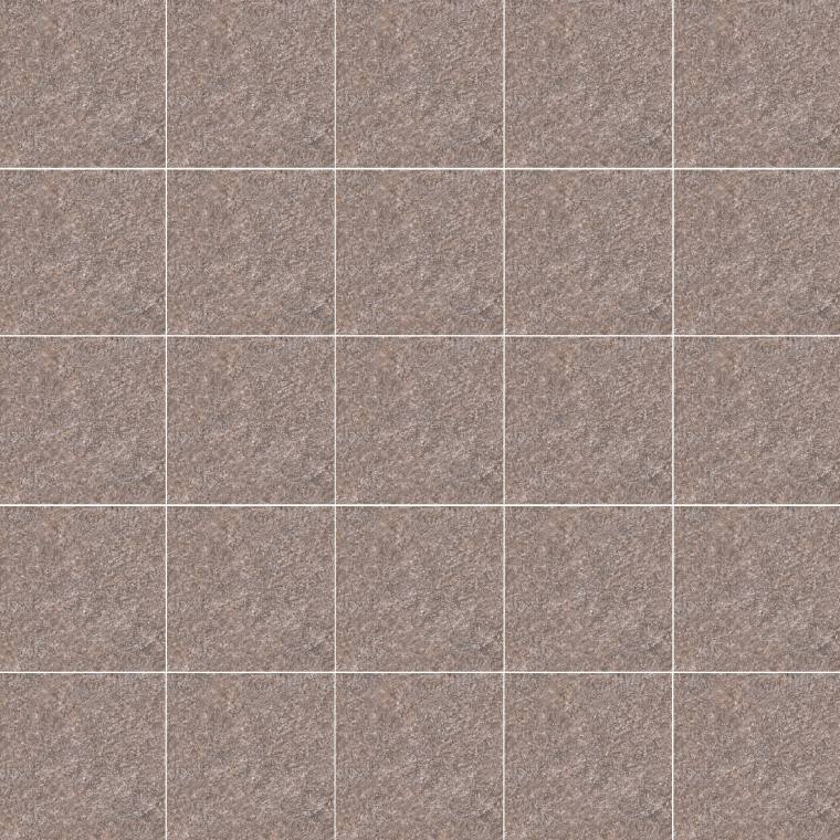 Flīzes Pietra Porfido 20X20, R11, RIP03